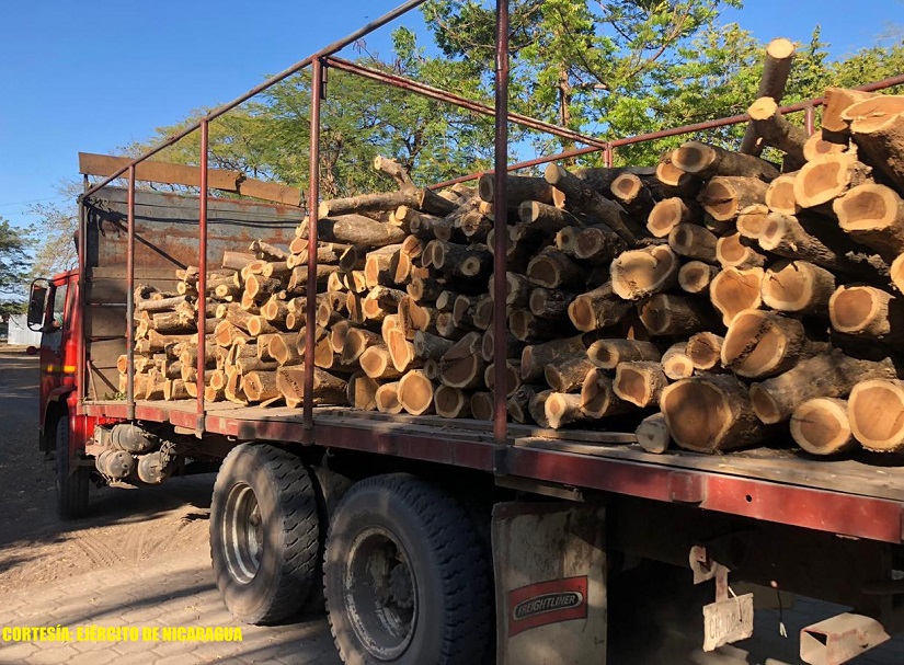 MADERA1